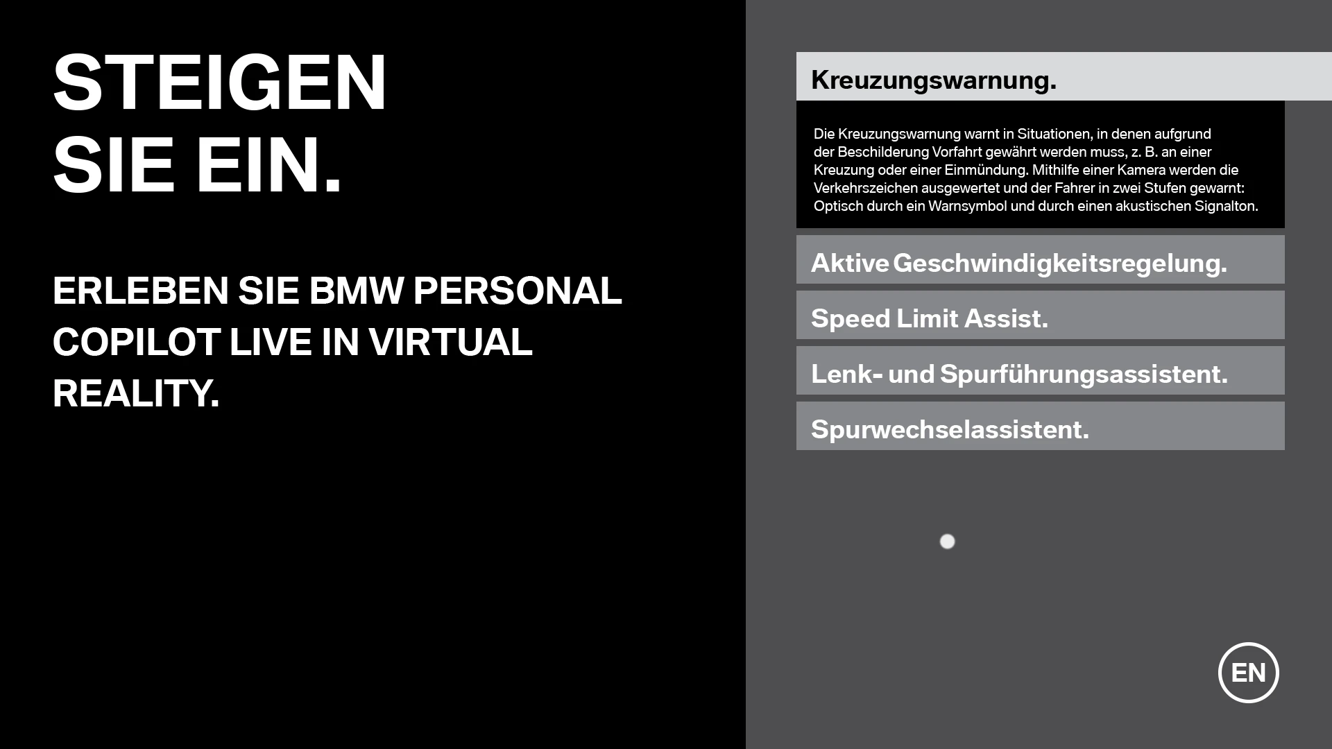 BMW copilot